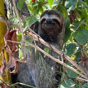 Meet your Posher, Linda